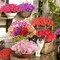 24 Bundles Artificial Flowers for Outdoor,No Fade Fake Plastic Flowers Faux Plants for Decoration Hanging Planters Indoor Outside Garden Porch Window Box Home Wedding Farmhouse